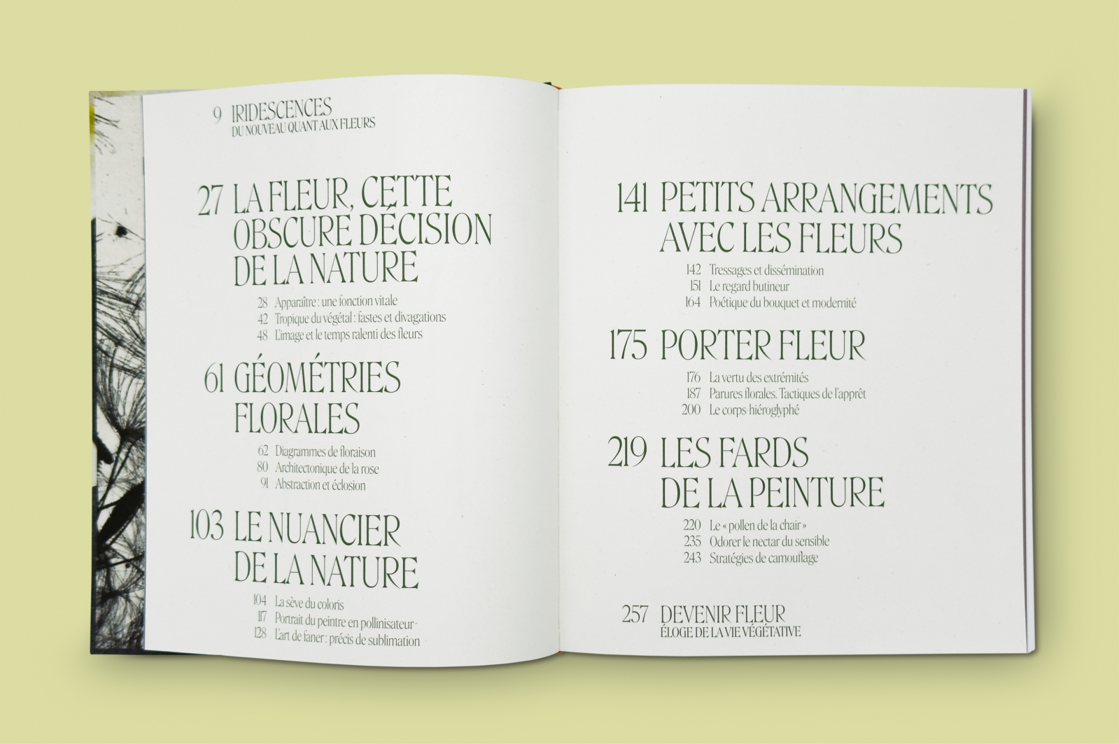 La Parade des fleurs<br>Leçons de peinture